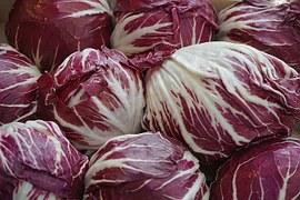 Cikória, pak choi saláta