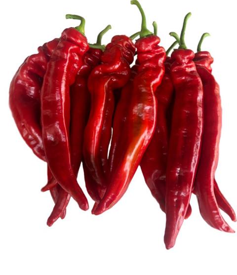 Dulce Italiano (bocskor) paprika